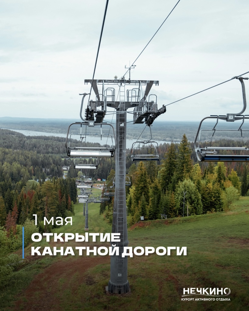 Красота